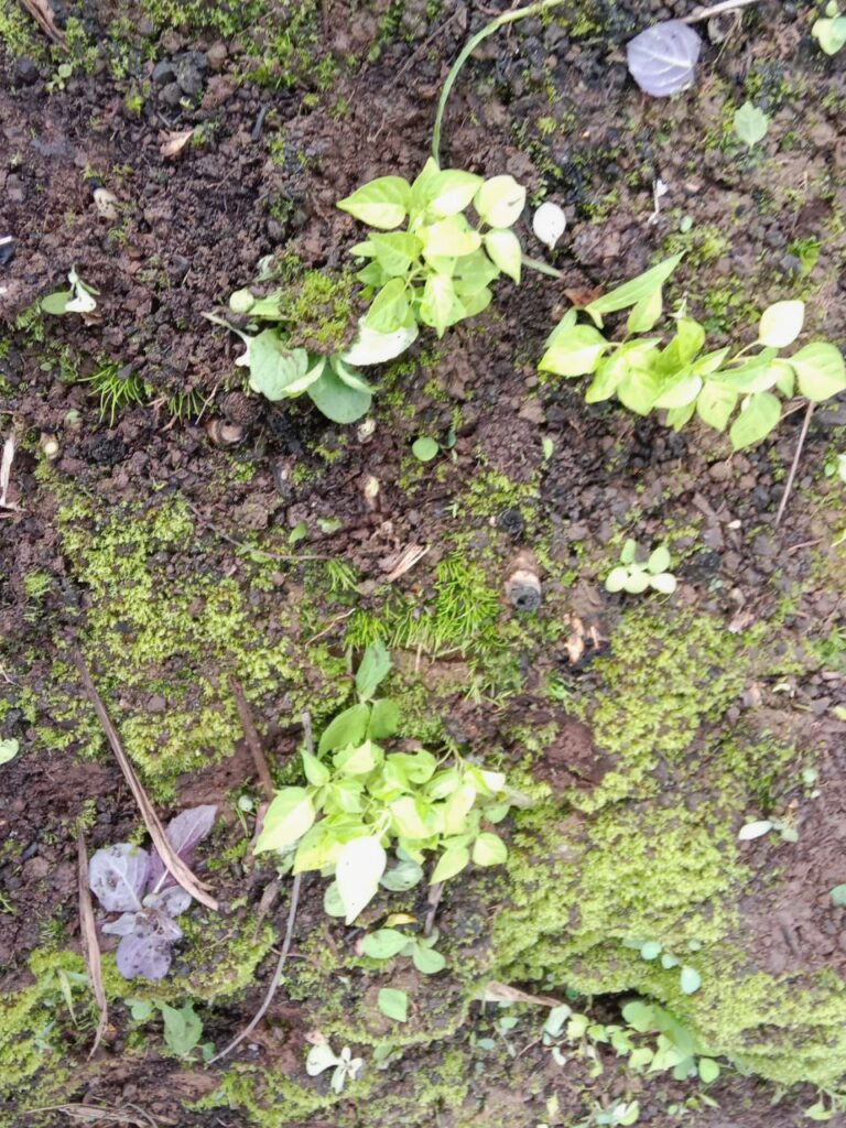 photo 2025 09 12 14 01 40