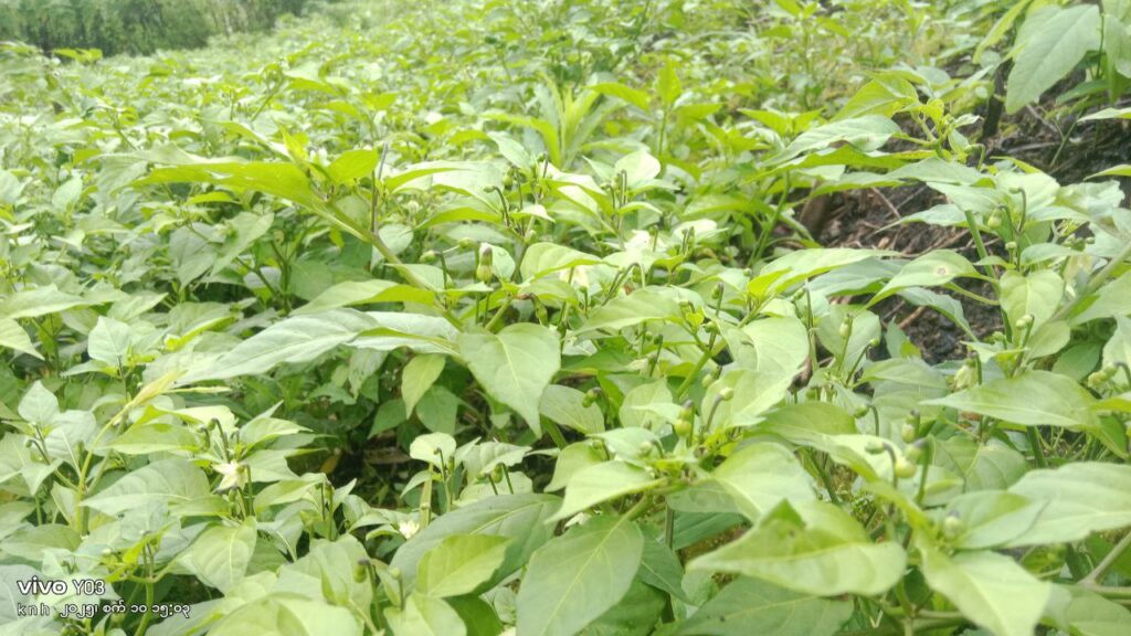 photo 2025 09 12 14 01 47