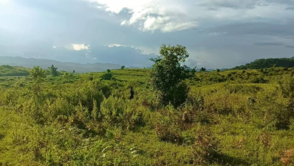 photo 2025 09 23 09 22 28